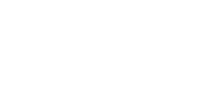 Smart SD logo
